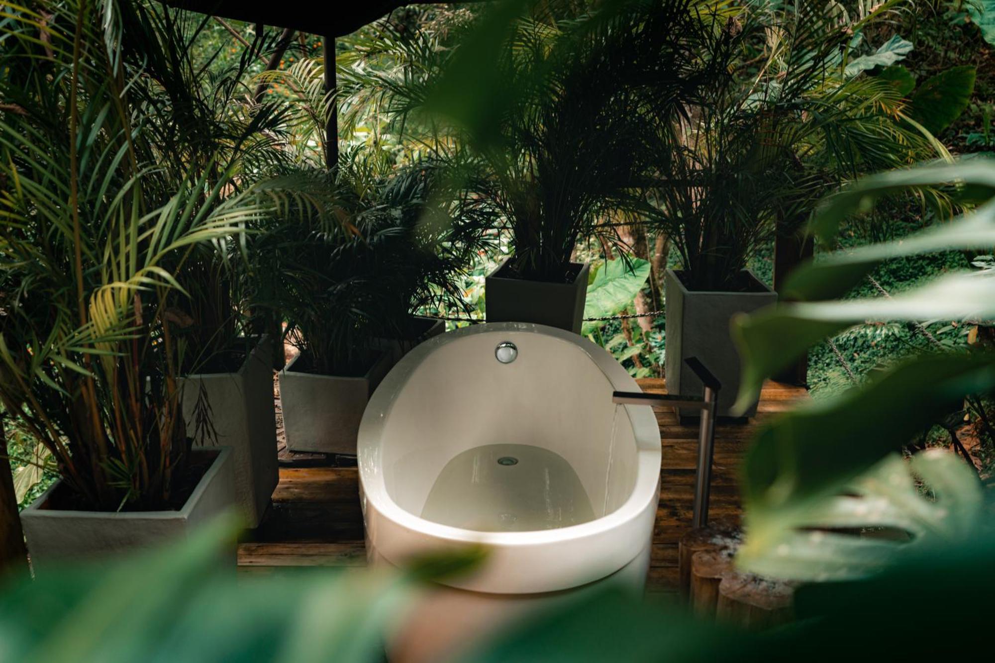 Teva Glamping & Retreat Hotel Rionegro Ngoại thất bức ảnh
