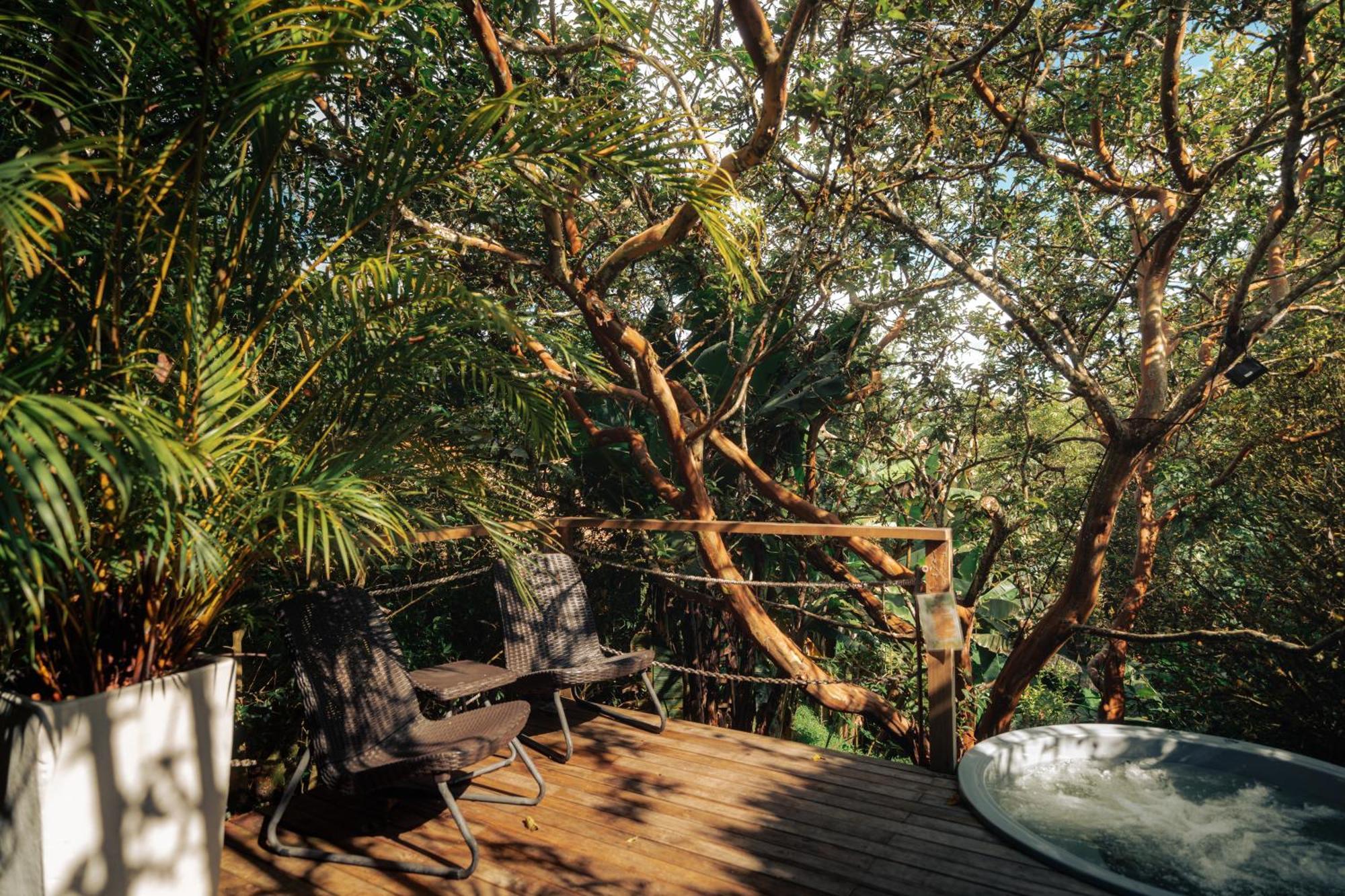 Teva Glamping & Retreat Hotel Rionegro Ngoại thất bức ảnh