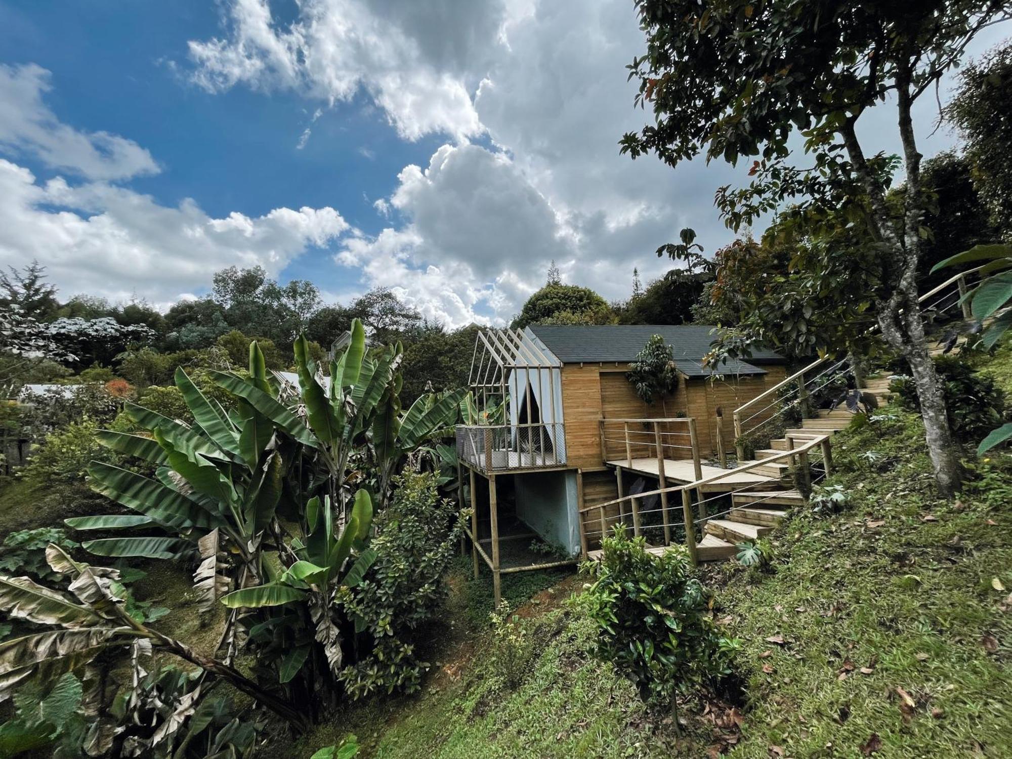Teva Glamping & Retreat Hotel Rionegro Phòng bức ảnh